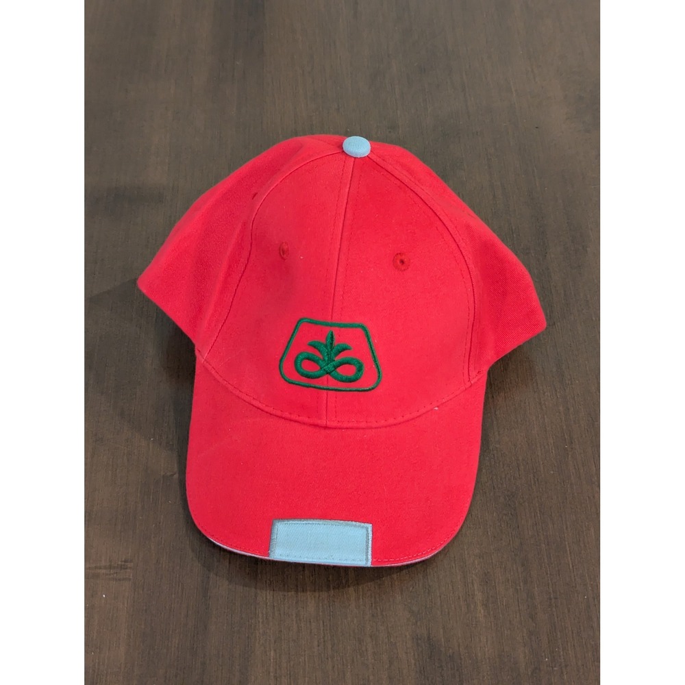 Pioneer DuPont Seed Hat Red Strapback Embroidered Logo Farm Agriculture Cap